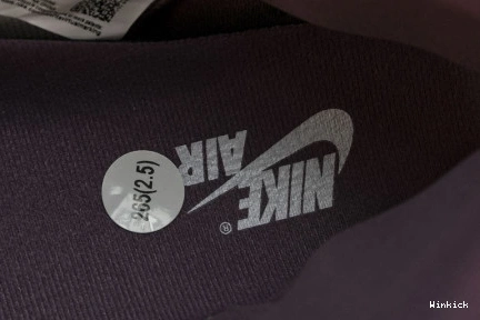 High “Mauve” DZ5485-105 Jordan OG 1 1113